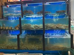 水产区-老东镇啤酒屋海鲜加工·蒸汽海鲜·海鲜烧烤(台东店)