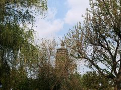 -西海子公园