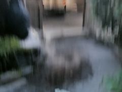 -麦积山温泉