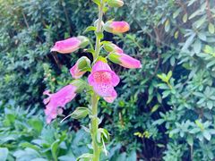 -文华公园(禅城区)