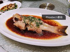-頂好酒家·经典粤菜(海信广场店)