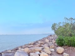 -吴淞炮台湾湿地森林公园烧烤区