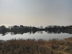 -上海市保健医疗中心(华东疗养院)