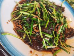 -白渔泡湿地公园