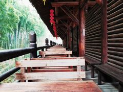 -大唐贡茶院