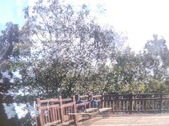 -杭州半山国家森林公园