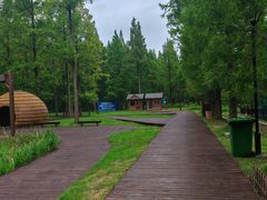 -黄海国家森林公园