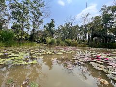 -中国科学院西双版纳热带植物园