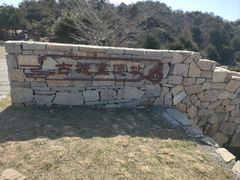 -王莽岭风景区