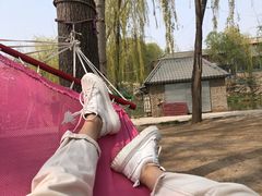 -东方巨龟苑景区