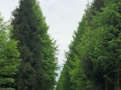 -山王坪喀斯特国家生态公园