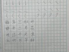 -赵汝飞练字硬笔书法(航头校区)