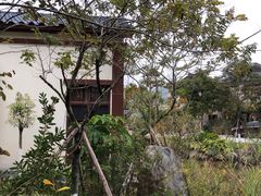 -水底山庄园温泉