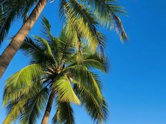 -日落吧·海景咖啡厅·餐酒吧·鸡尾酒·下午茶·乐队表演·浪漫夕阳·三亚文华东方酒店