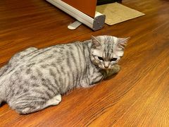 -H立方实景剧情密室(天河旗舰店)
