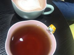 热可可-逗柴咖啡屋·狗咖猫咖宠物桌游