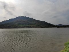 -风云岭森林公园