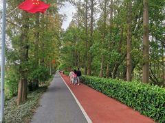 -上海长兴岛郊野公园