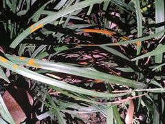 -佳雯宠物医院(金华南路分院)