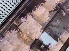 -BLACKSWAN黑天鹅(环球店)
