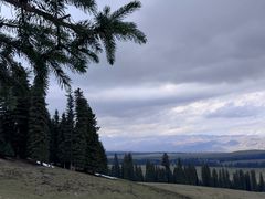 -新疆那拉提国家旅游度假区