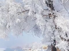 -雾凇岛