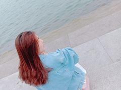 -金鸡湖桃花岛