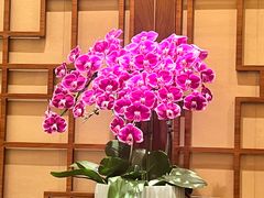 -扬州香格里拉·香宫中餐厅
