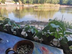 -三忘湖 SWANSEEN(柳荫公园店)