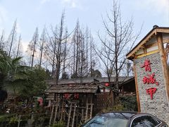 -青城甲(青城山店)