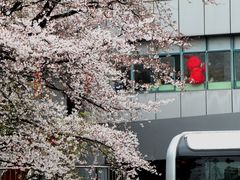-南浦大桥长途旅游客运站