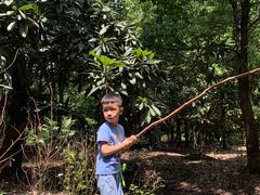 -塘栖枇杷特色园区