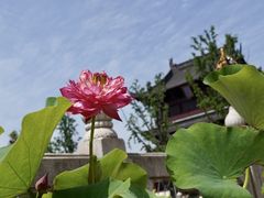 -重元寺香积厨素斋馆