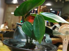 -扫雪煮茶(西村店)