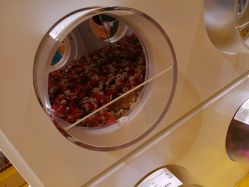 -乐高授权专卖店(朝阳大悦城店)