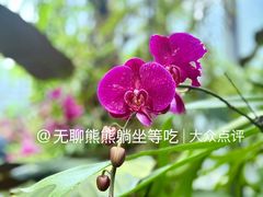 -东莞植物园