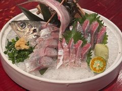 -九州酒场ひこぞう(1号店)