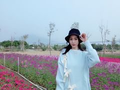 -芒洲湿地公园