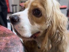 -三码头烧烤(长沙市贺龙体育运动学校店)