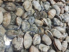 -王四营海鲜市场