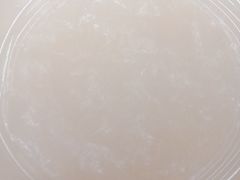 -海银海记潮汕牛肉火锅(新港中路海珠店)