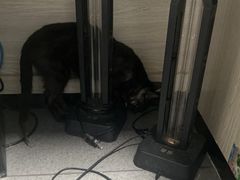 -半岛宠物医院24小时(科华中路店)