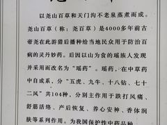 -天门沟九州驿站树上汤泉