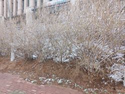 -大连市妇女儿童医疗中心(希望广场儿童院区)