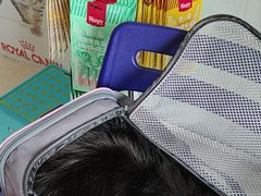 -瑞派福兴宠物医院犬猫全科·骨科·中西医结合(河东店)