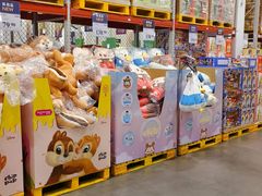 -山姆会员商店(亦庄创意生活广场店)