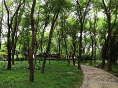 -玲珑塔公园