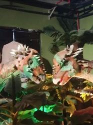 -恐龙探索乐园(磁器口店)