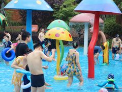 -苏州乐园森林水世界