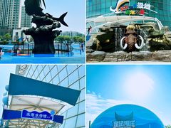 -海合安天津极地海洋公园